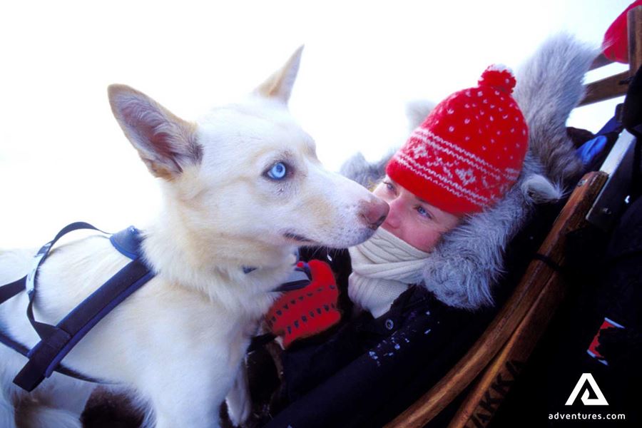 Woman petting a snow dog in Norway