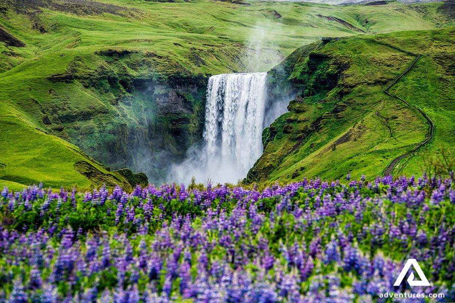 skogafoss waterfall in summer