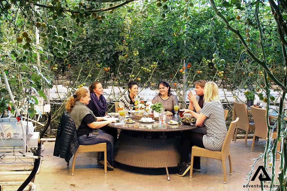 having dinner in Fridheimar tomato farm