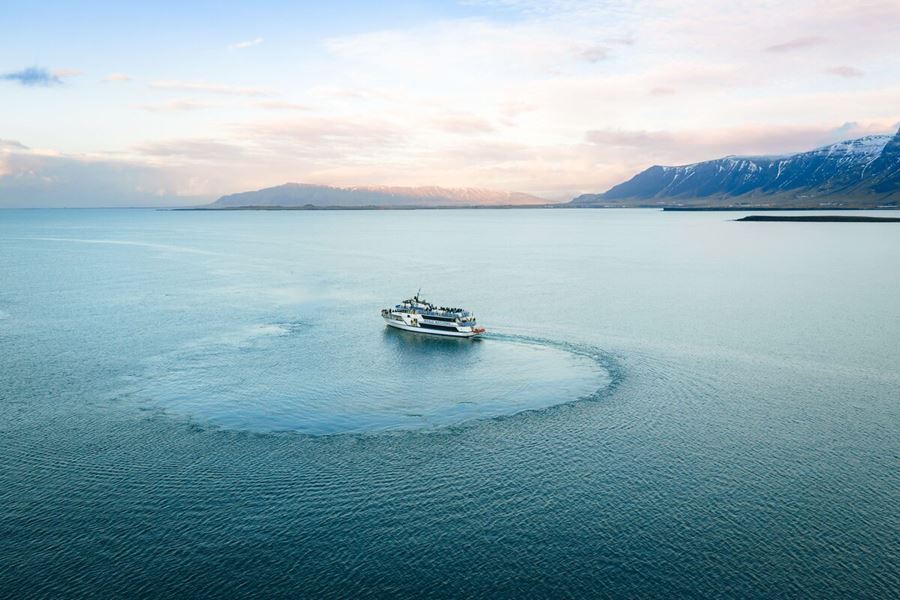 Boat On A Whale Watching Tour Drone View in iceland