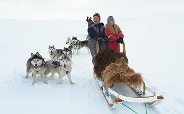Dog Sledding Tours