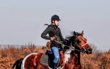 Horseback Riding Tours
