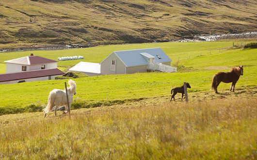 Wilderness Center Accommodation
