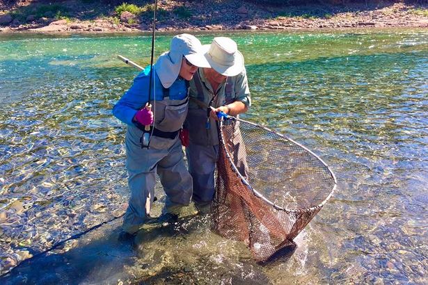 Two men catching fish by net