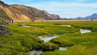 Bright green hike trail field in Landmannalaugar with stream and mountains in background
