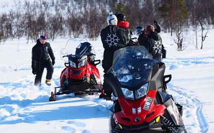 Arctic Wildlife Safari with Snowmobile