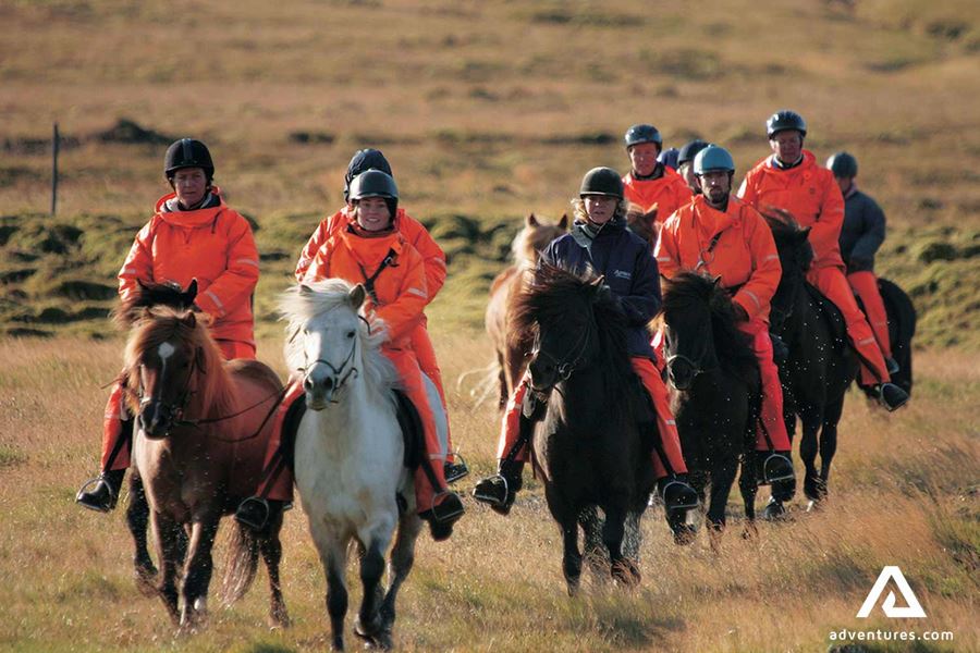 group horseriding in iceland