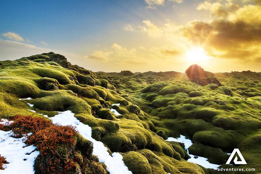 eldhraun lava field in iceland