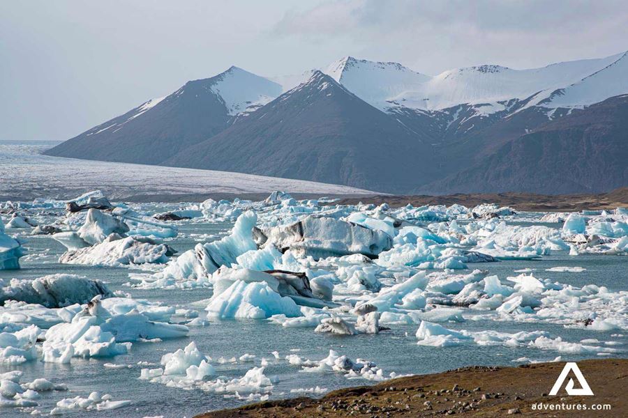 lots of icebergs floating in a lagoon