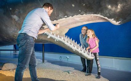 Whales of Iceland Museum - Admission Tickets
