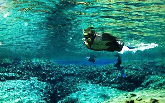 Beginner’s Guide to Snorkeling
