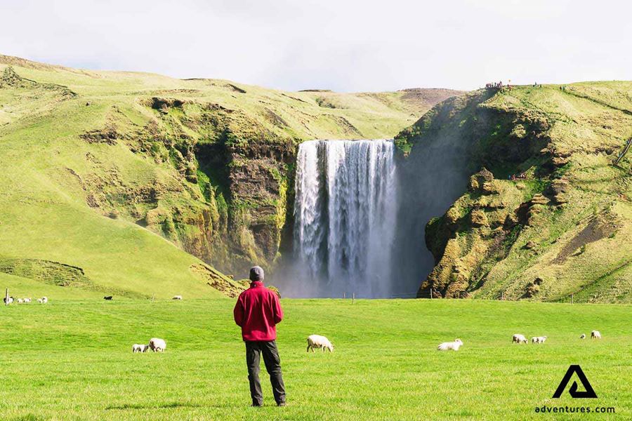 man standing in a field near skogafoss