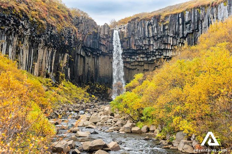 svartifoss waterfall in skaftafell