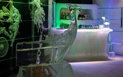 Magic Ice Bar Experience