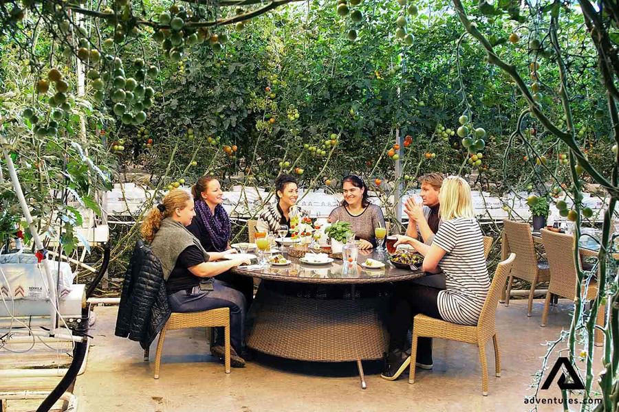 group of friends eating at fridheimar farm