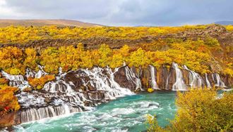 autumn colours near hraunfossar waterfall