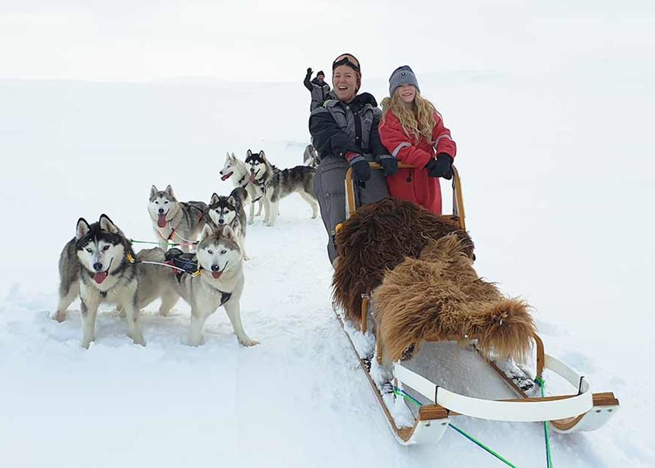 Hundeschlittentouren in Island