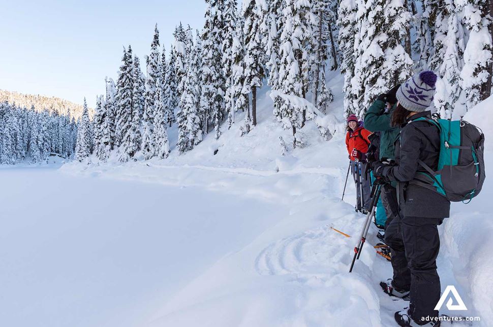 hikers in a snowy forest field in canada near whistler