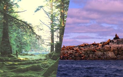 Haida Gwaii for Active Seniors – 7-Day Indigenous Culture & Nature Tour