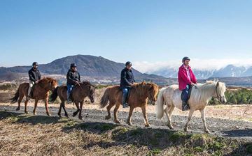 Horse Riding Tours